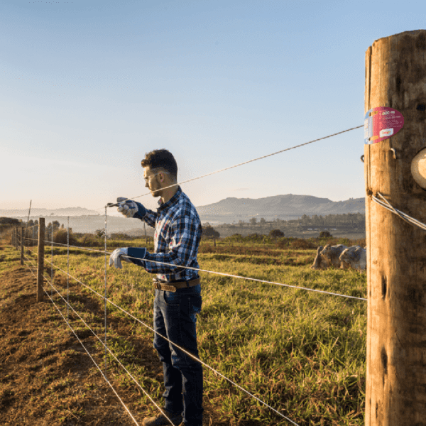 Arame Liso Z700 Belgo® | Arame Ovalado 1000m