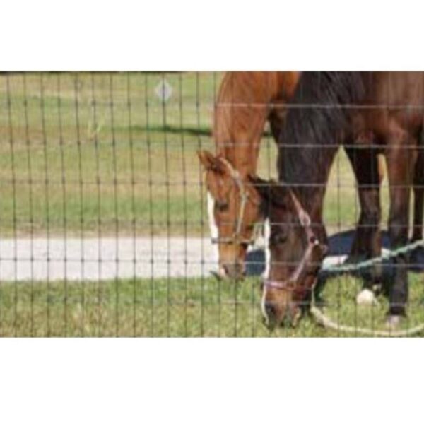 CERCA PRONTA BELGO CERCAR EQUINO - 30 M