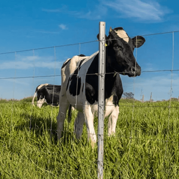Kit Poste Para Cerca Rural Belgo Aço® Zincado 2,20 m (100 unidades)