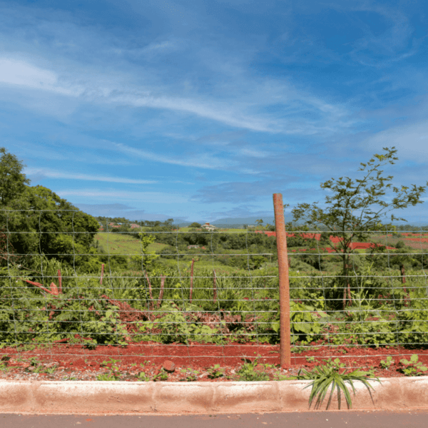 TELA BELGO STRADA 1,40M 12 FIOS 50 M