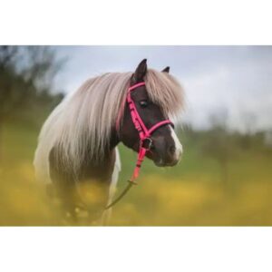 CABEÇADA PARA CAVALOS EM PVC COR Lilas/rosa SWISSHORSESSHOP